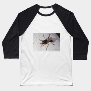 Wasp Baseball T-Shirt